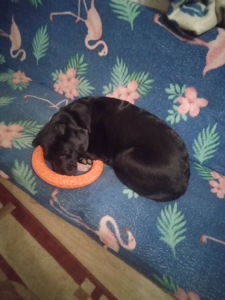 Фото автора.