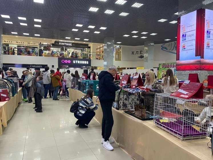     Фото: Sakh.online