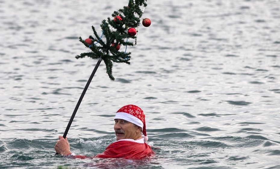    Автор фото: ТАСС