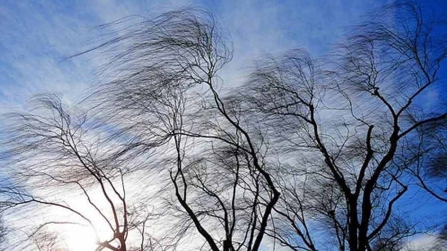     Источник: mchs.gov.ru