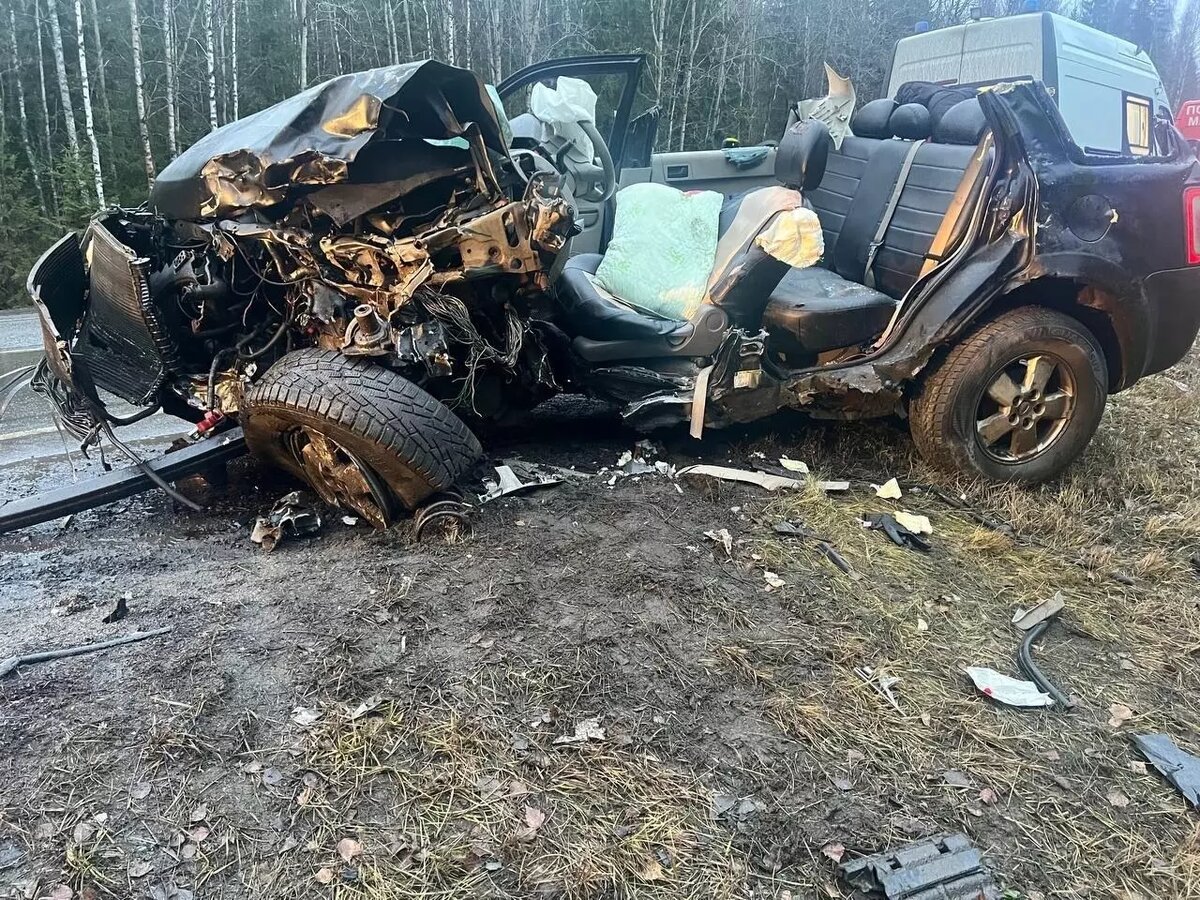     Источник: Госавтоинспекция Карелии