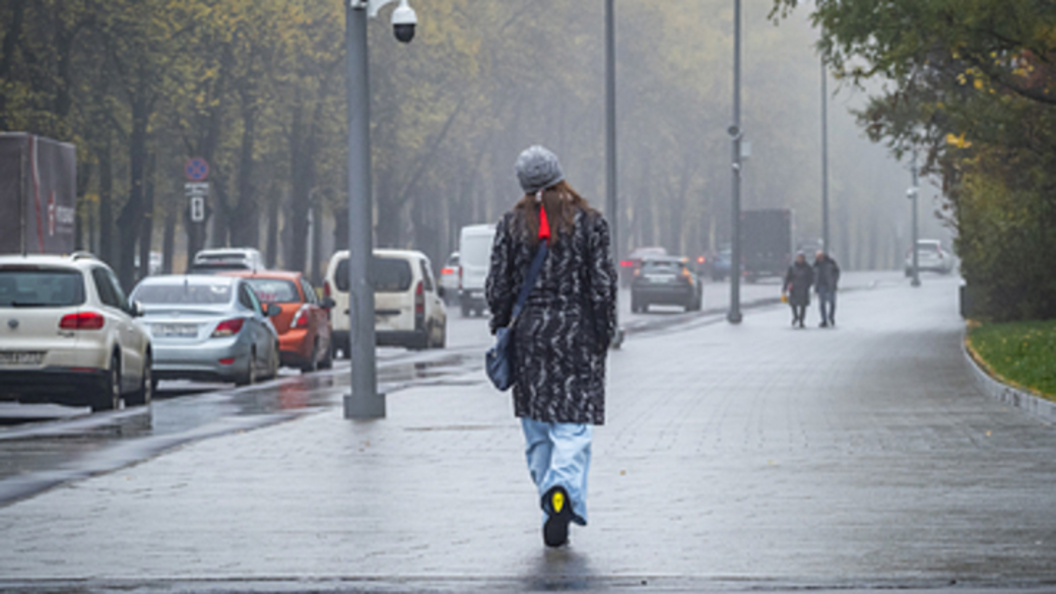    Фото: Константин Кокошкин/Globallookpress.