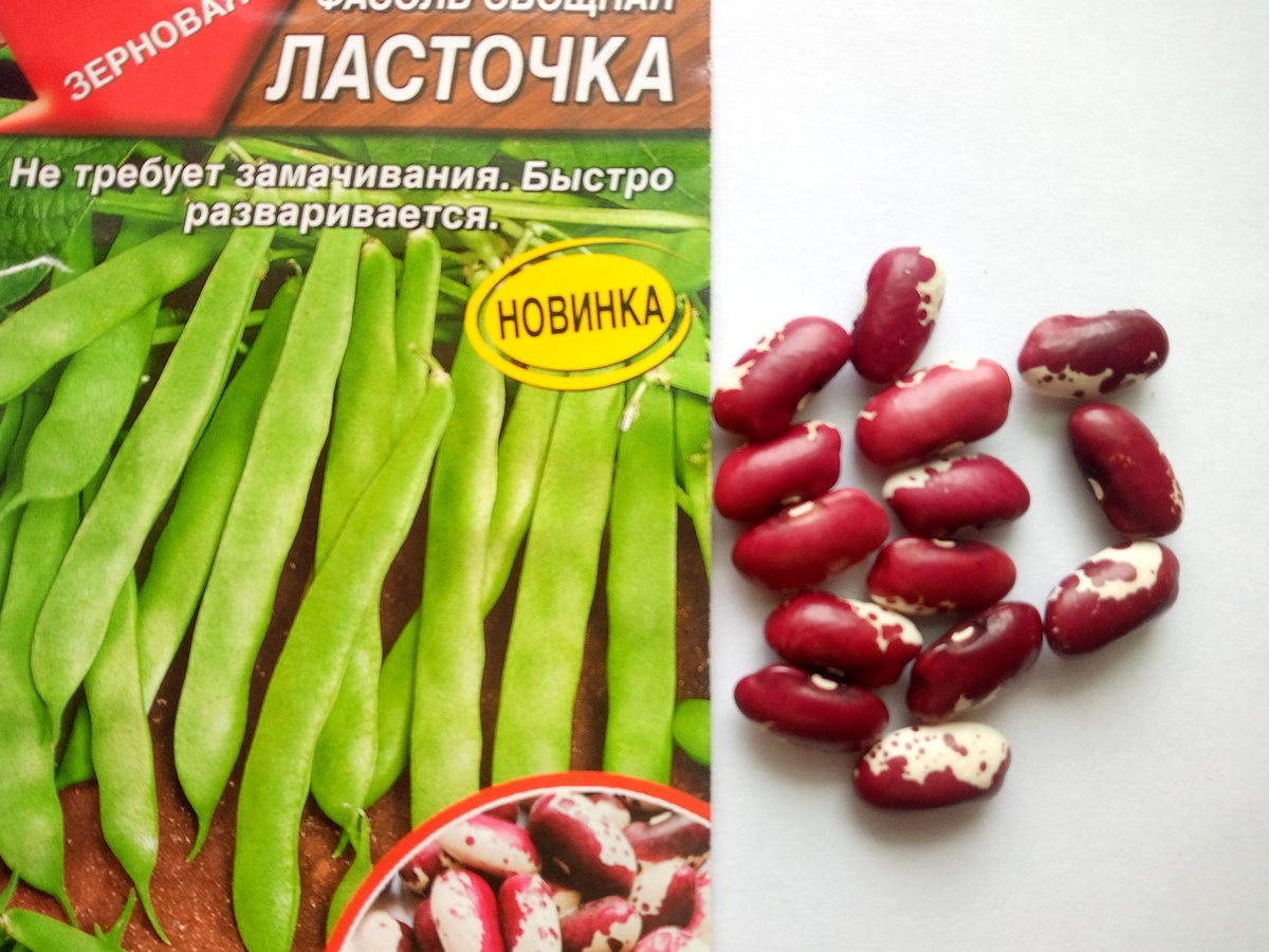 Ласточка-раннеспелая, зерновая фасоль. Созревает на 65-75 день после всходов. Устойчива к основным болезням .