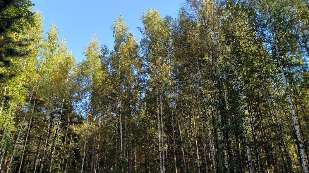    Maksim Konstantinov/Global Look Press