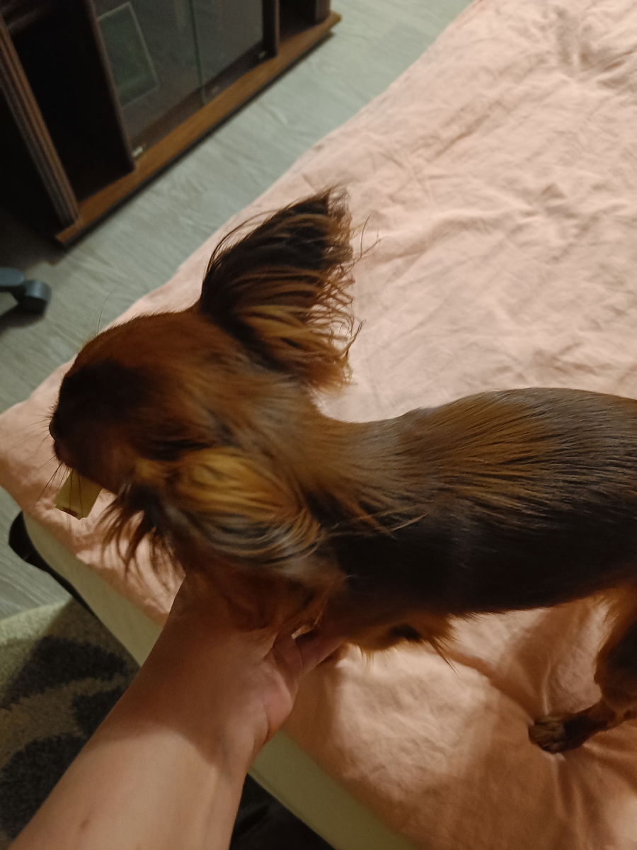 Не дала даже сфотографировать, отворачивалась от камеры.