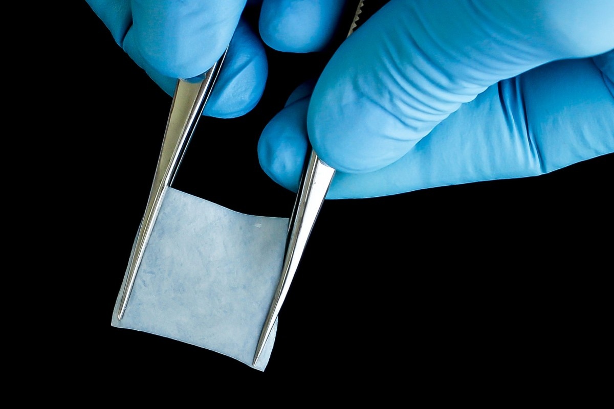    Изображение My-ort.ru 