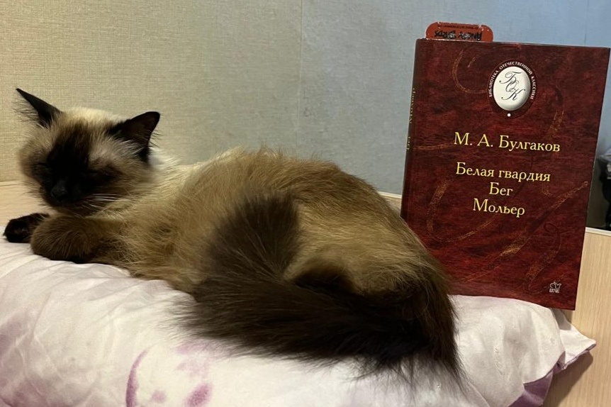 И снова Булгаков, и снова Джесс...