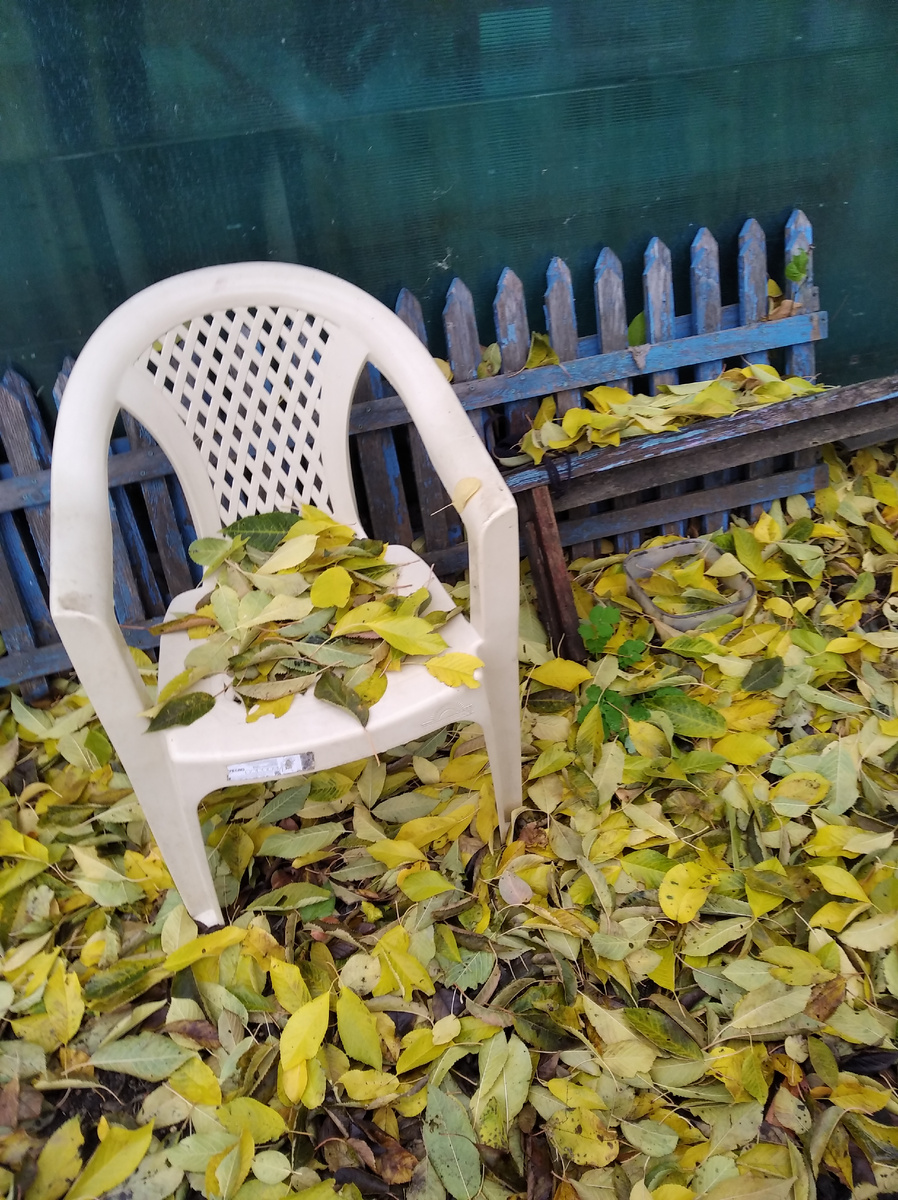 Деревенский колорит.