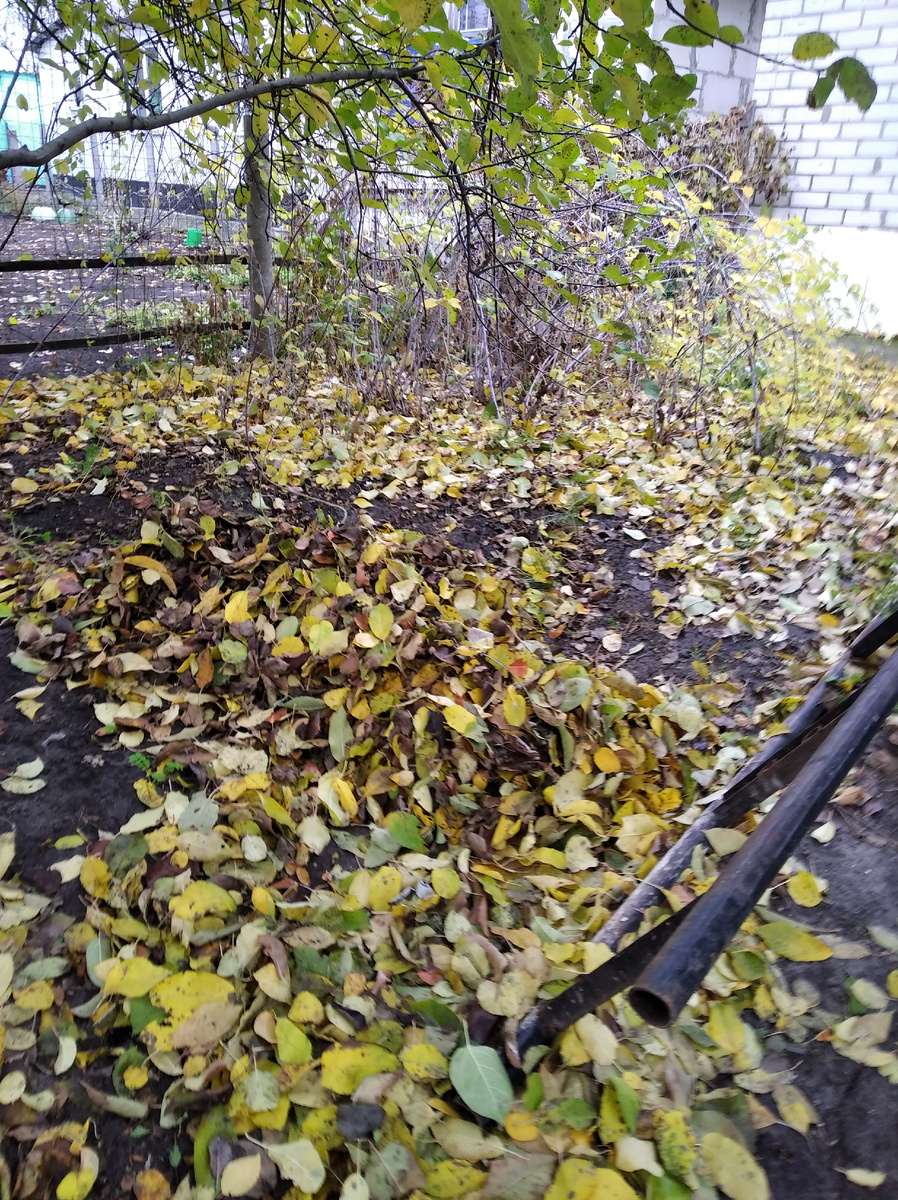 Для меня это уже больше медитация,.а не работа.