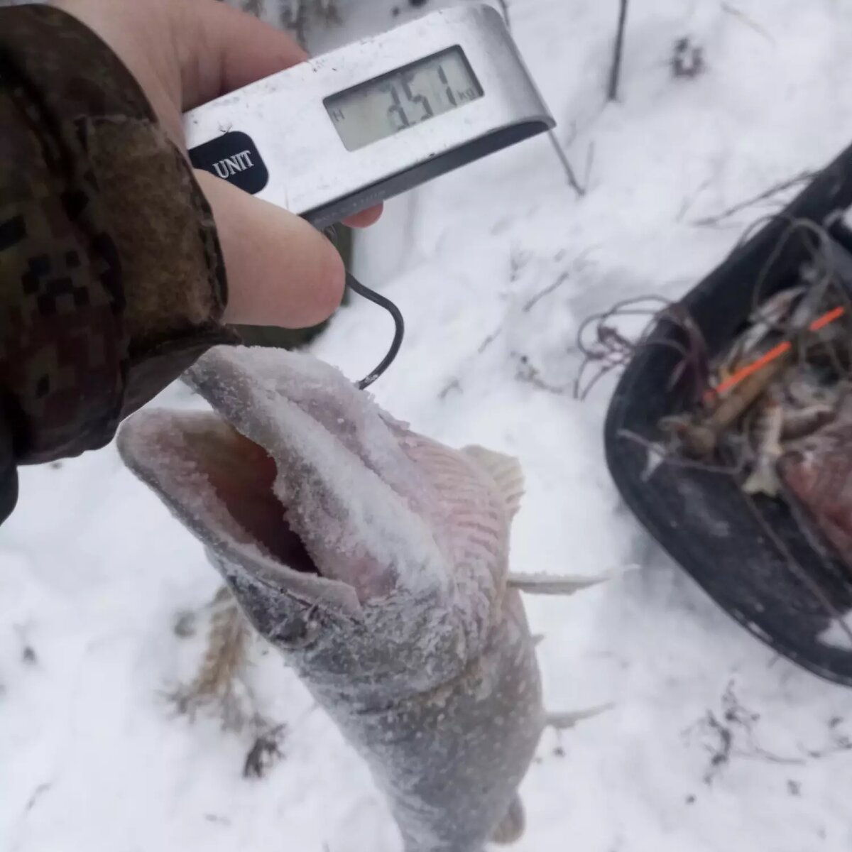     Автор: от Виктории Шкляр Источник: «Рыбалка в ХМАО-Югре»