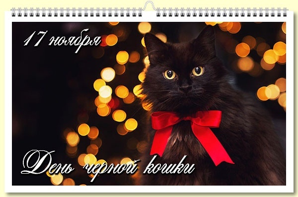 Фото из сети Интернет