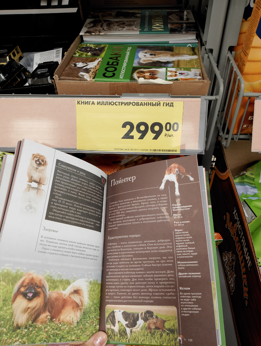 Фото автора.