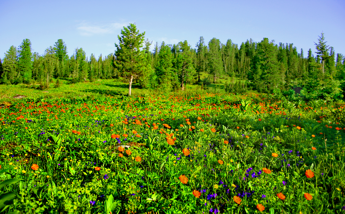 Фотография, стихотворение Василия Глуцкого
