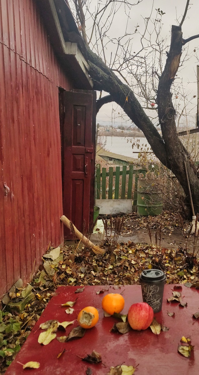 Утро в саду, ноябрьское воскресенье