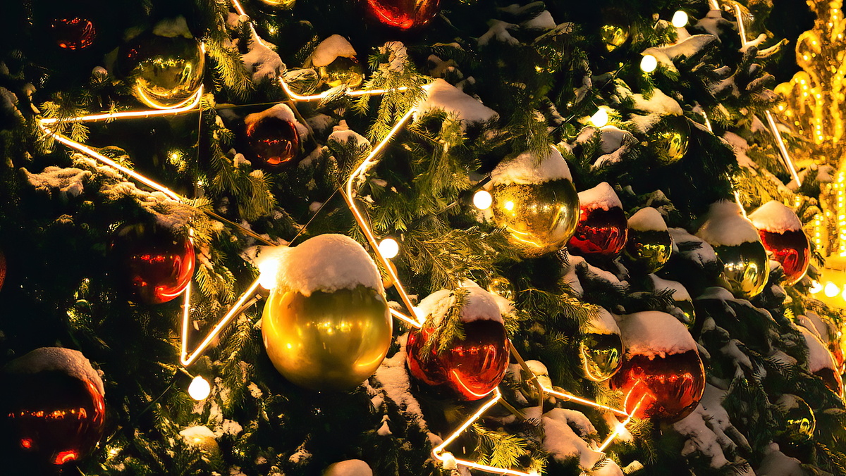 Фотография - www.openmainphoto.ru