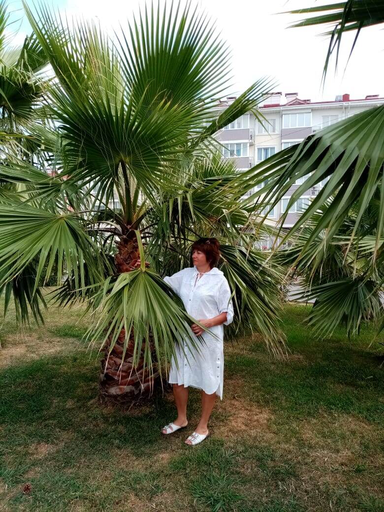 Аллея к морю называется бульвар Надежд.