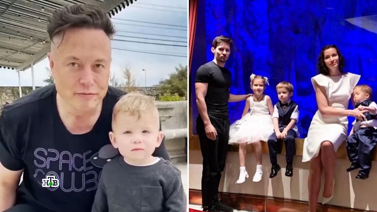    «Всем стоит завести детей»: как забеременеть от Илона Маска и Павла Дурова