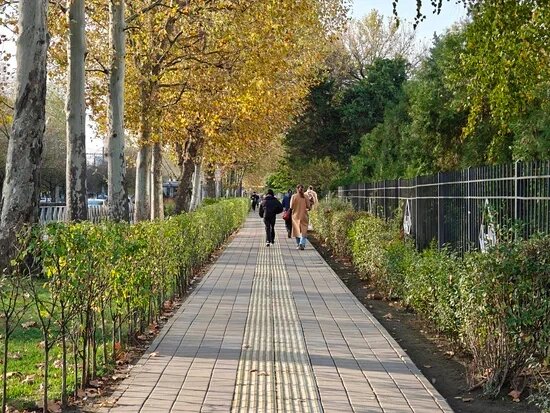    Фото: Юрий Серебренников/BFM Кубань