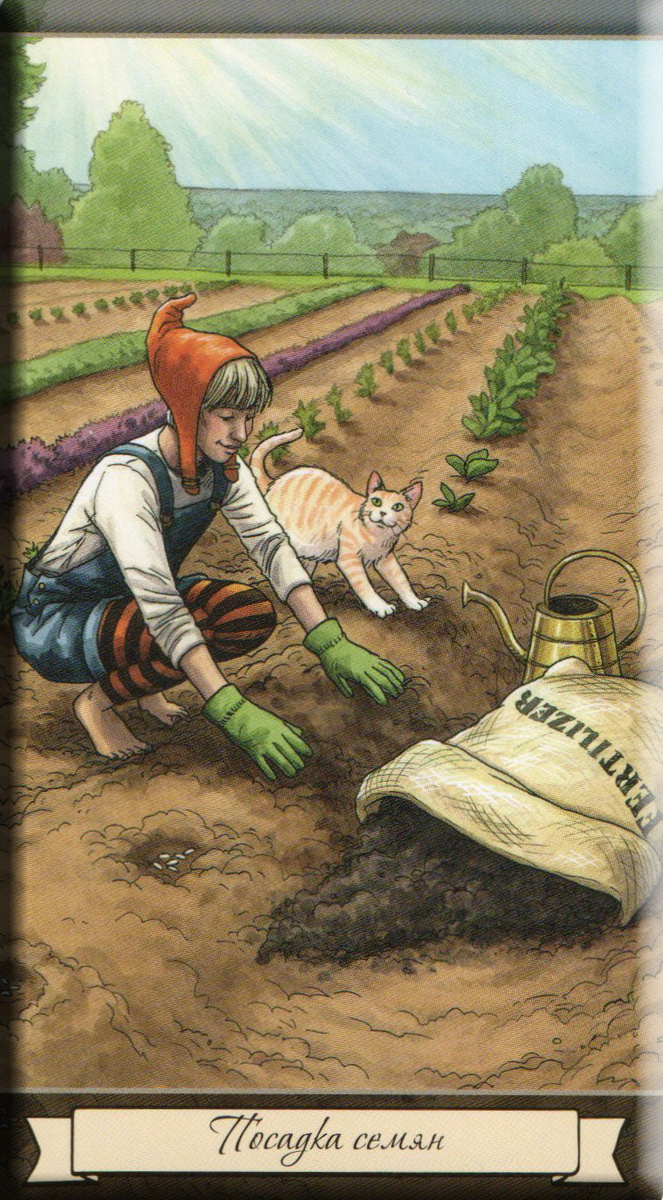 Повседневный оракул ведьмы