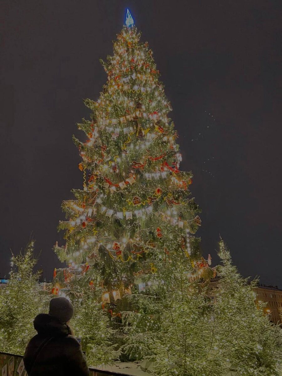 Елка на Дворцовой площади