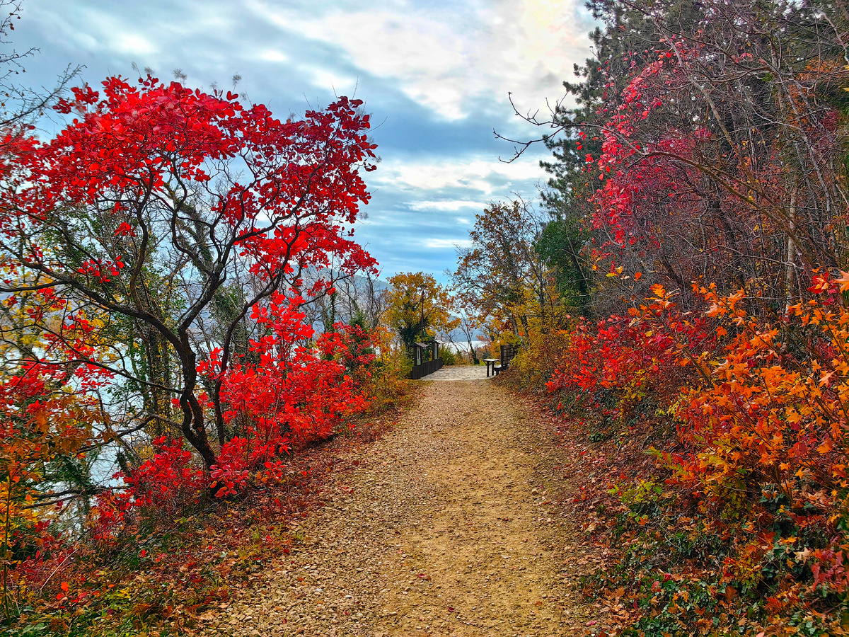 На экотропе в Абрау-Дюрсо
