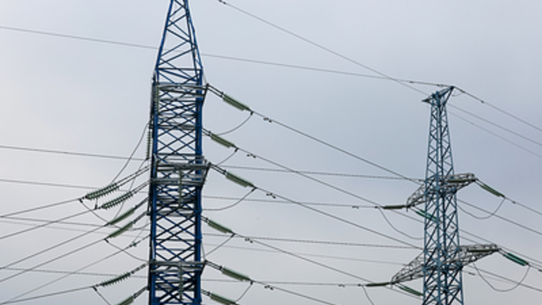    Belkin Alexey/Globallookpress