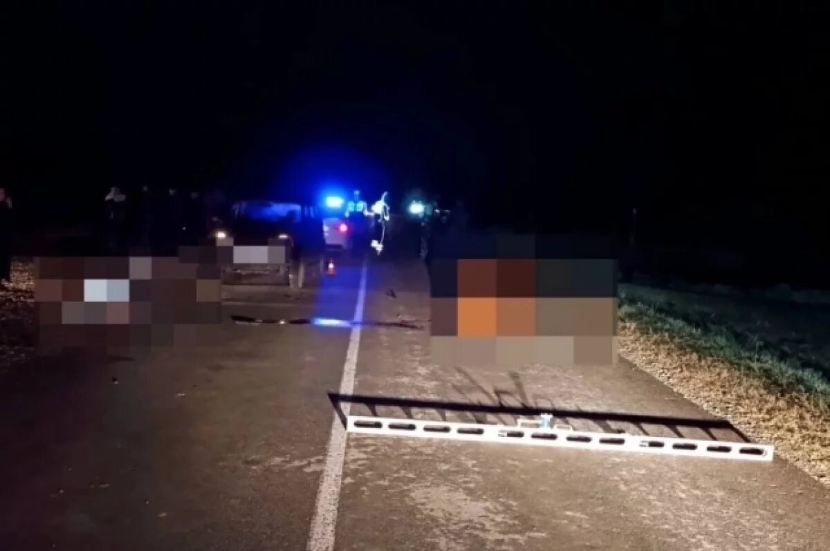    Погонщица скота погибла под колёсами легковушки на Ставрополье