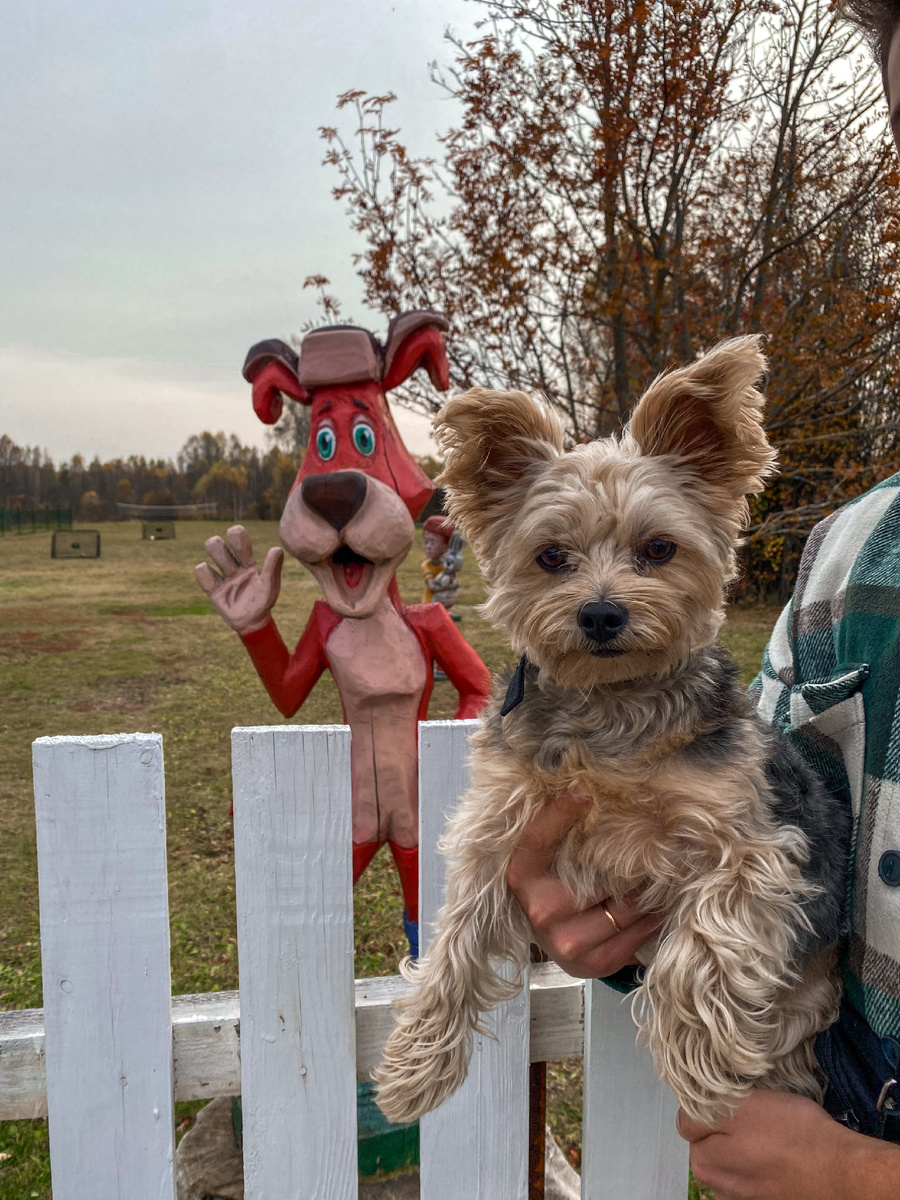 Ричик с Шариком🐶🐶