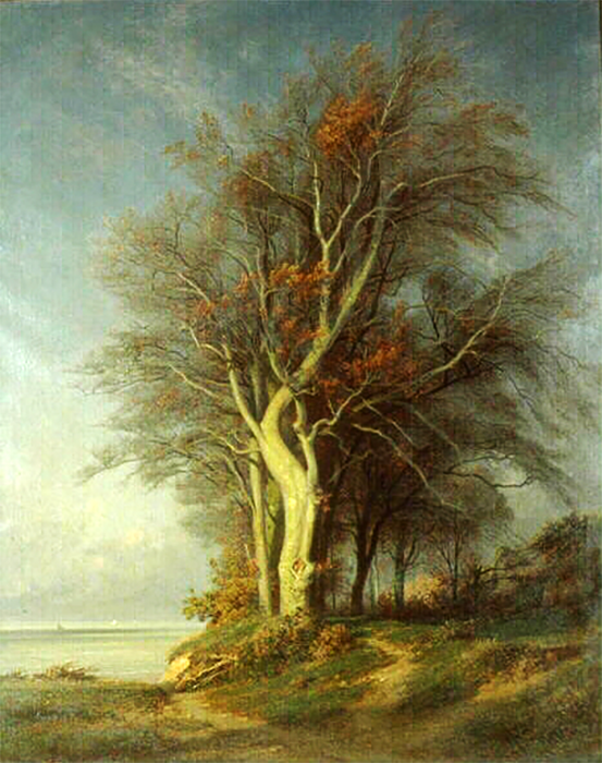 Буки на Кот-де-Грас близ Онфлёра, 1859. Музей изящных искусств Бордо, Франция