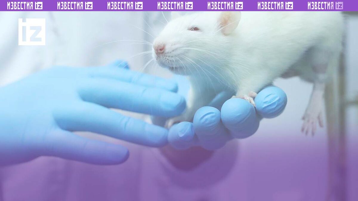 «Известия» собрали топ-5 достижений исследователей за неделю