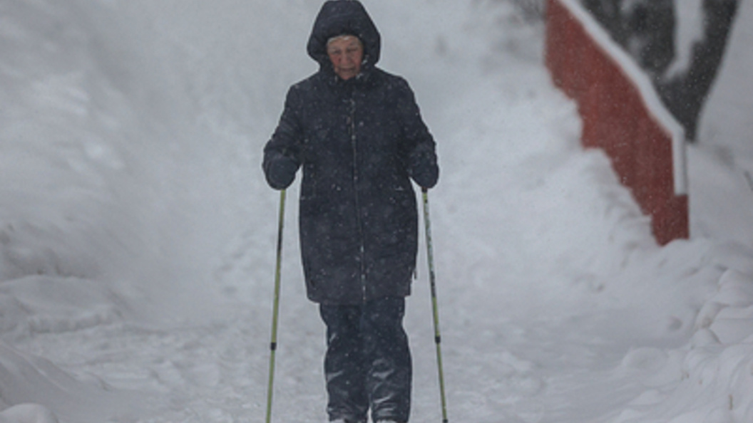    Фото: Alexey Belkin/Business Online/Globallookpress