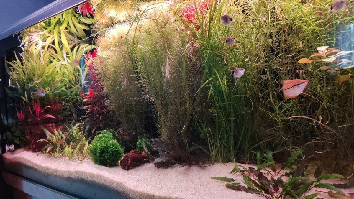 Фото: Денис Гарифуллин, г. Челябинск