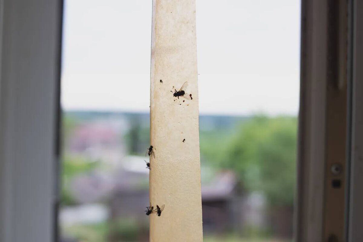     © Фото: freepik.com