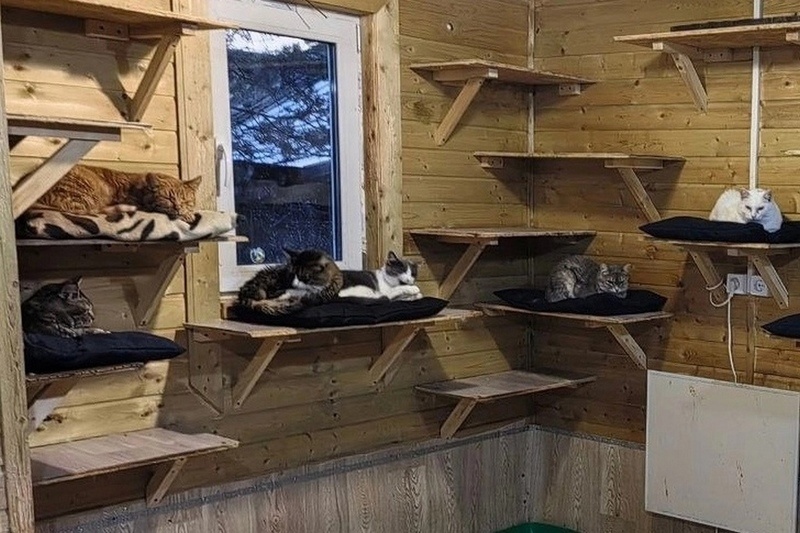    Все они стали участниками проекта "Выбросить нельзя, перешить!".