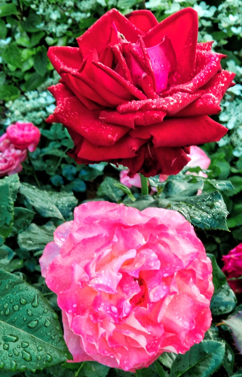 На счастье!