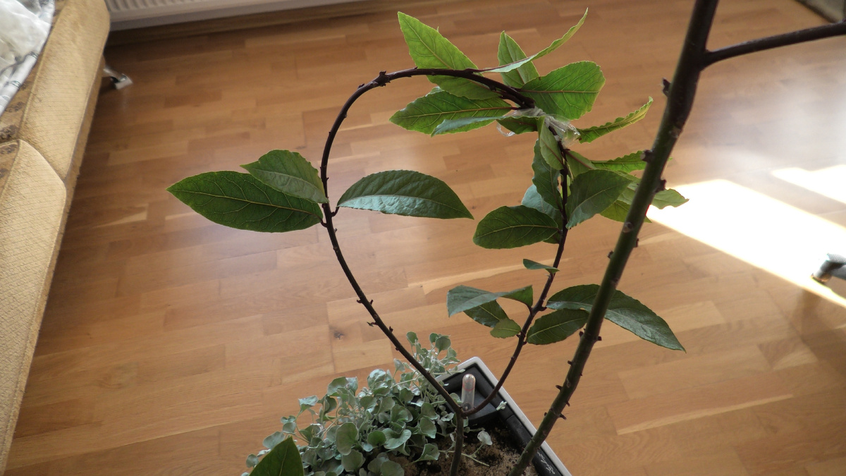 Аблактировка пригодится для создания интересных форм