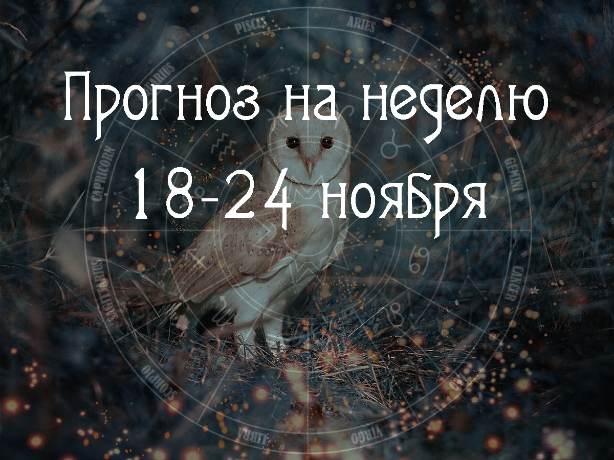 Астрологический прогноз на 18 – 24 ноября 2024 года