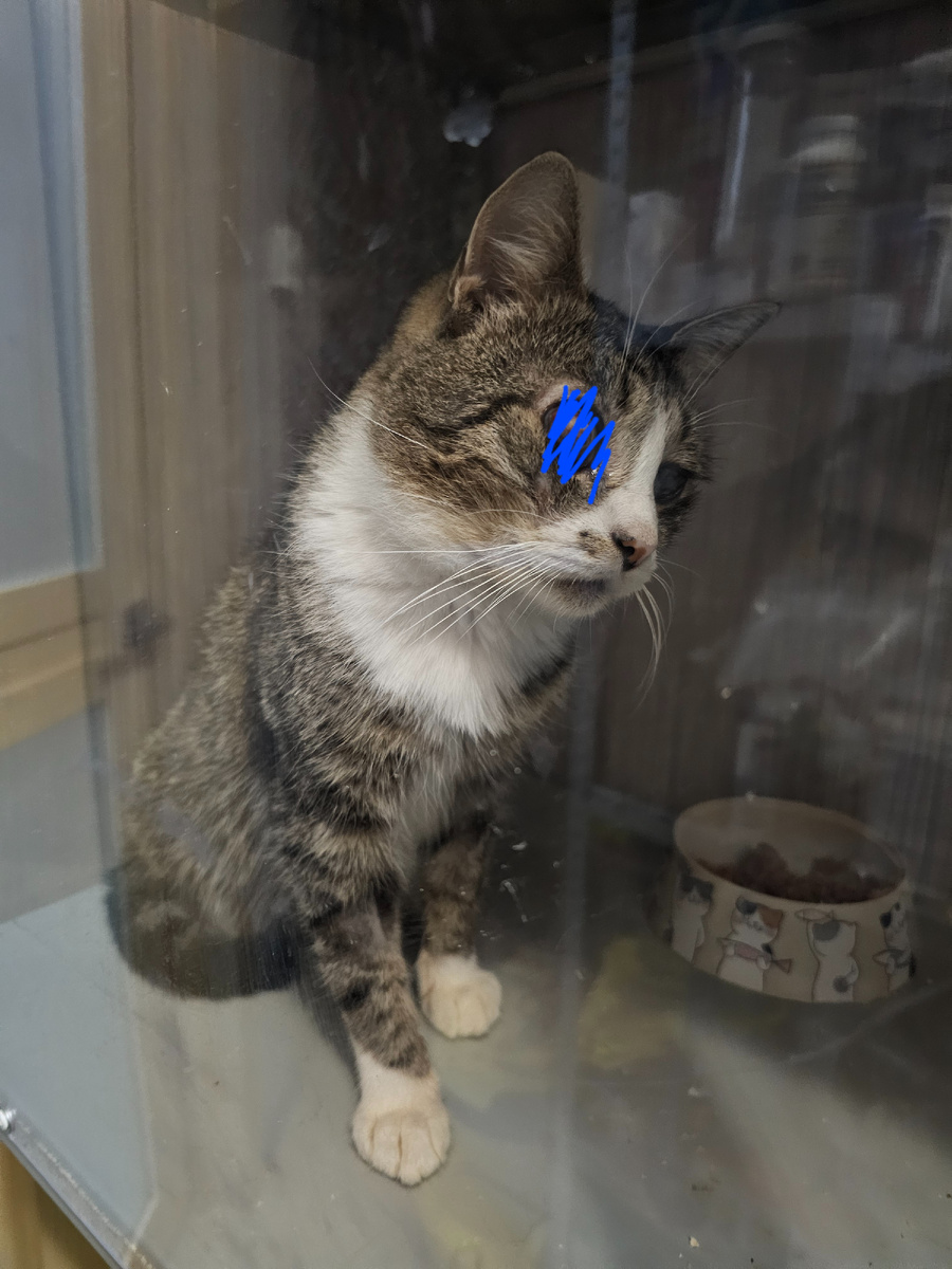 Фото автора. Арашик.