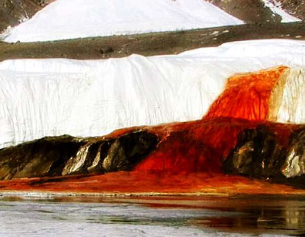 Яндекс картинки