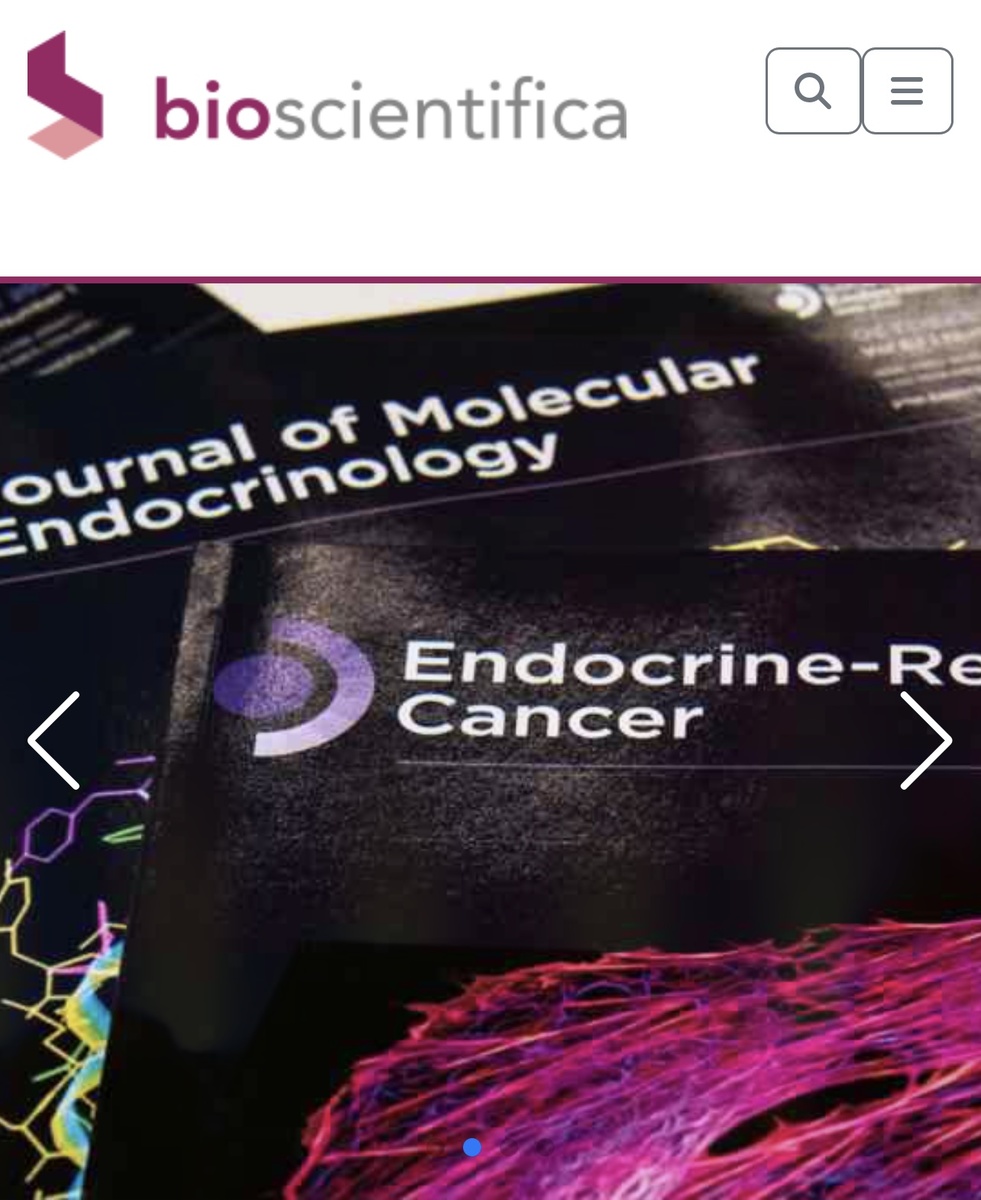 Фото из открытых источников сети 