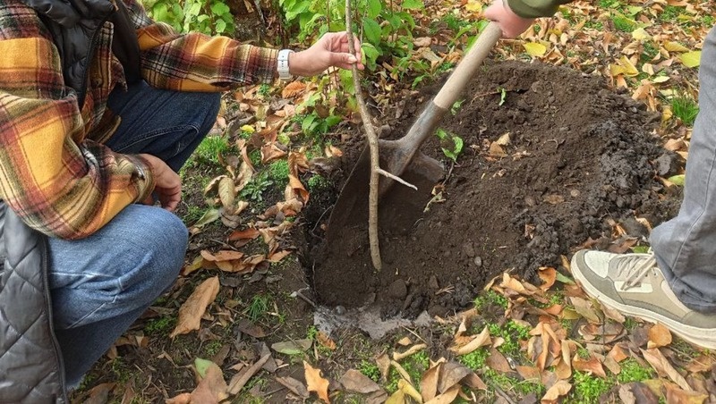      Фото: Администрация Кировского округа
