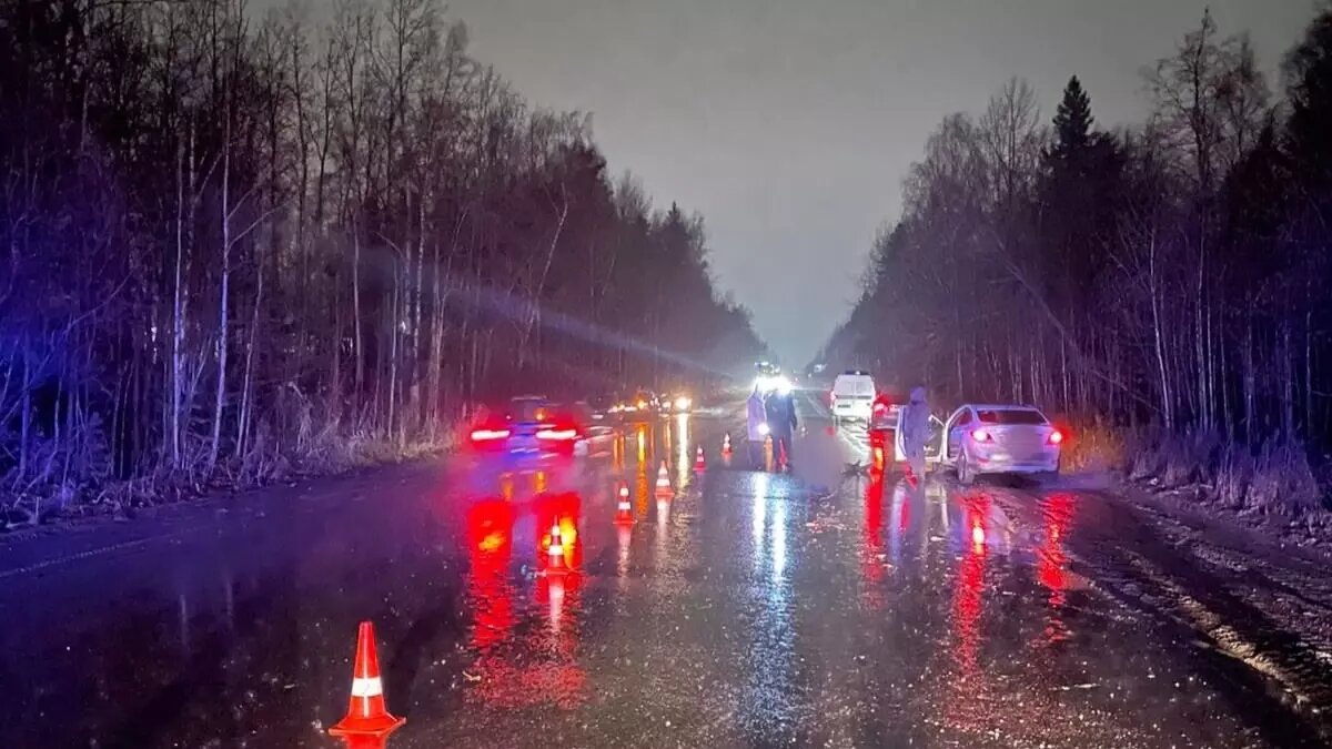     Источник: Госавтоинспекция Петрозаводска