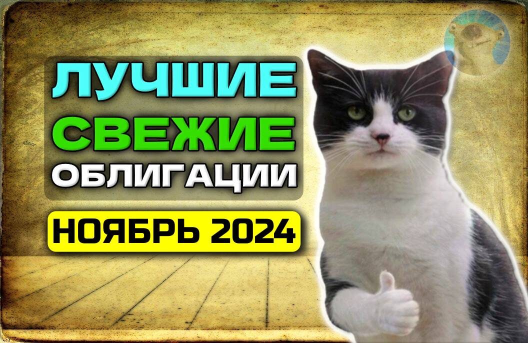 Подборка ЛУЧШИХ СВЕЖИХ облигаций (ноябрь 2024)