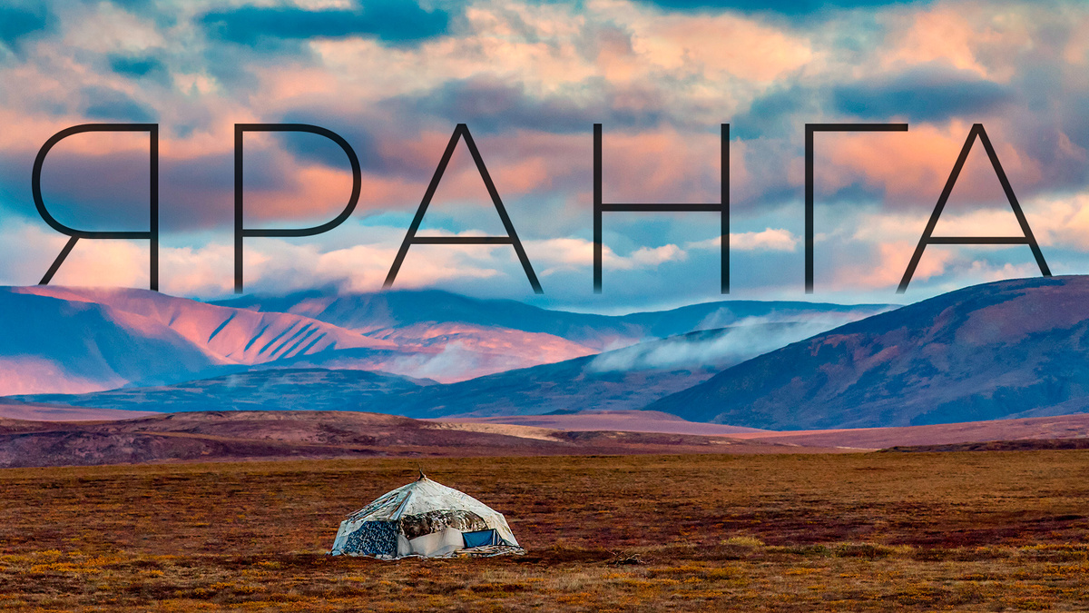 Фото: Andrei Stepanov/Shutterstock/Fotodom