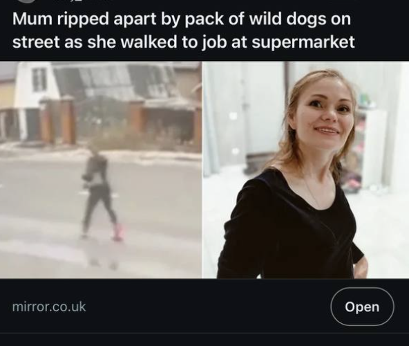    Фото: скриншот из зарубежных социальных сетей