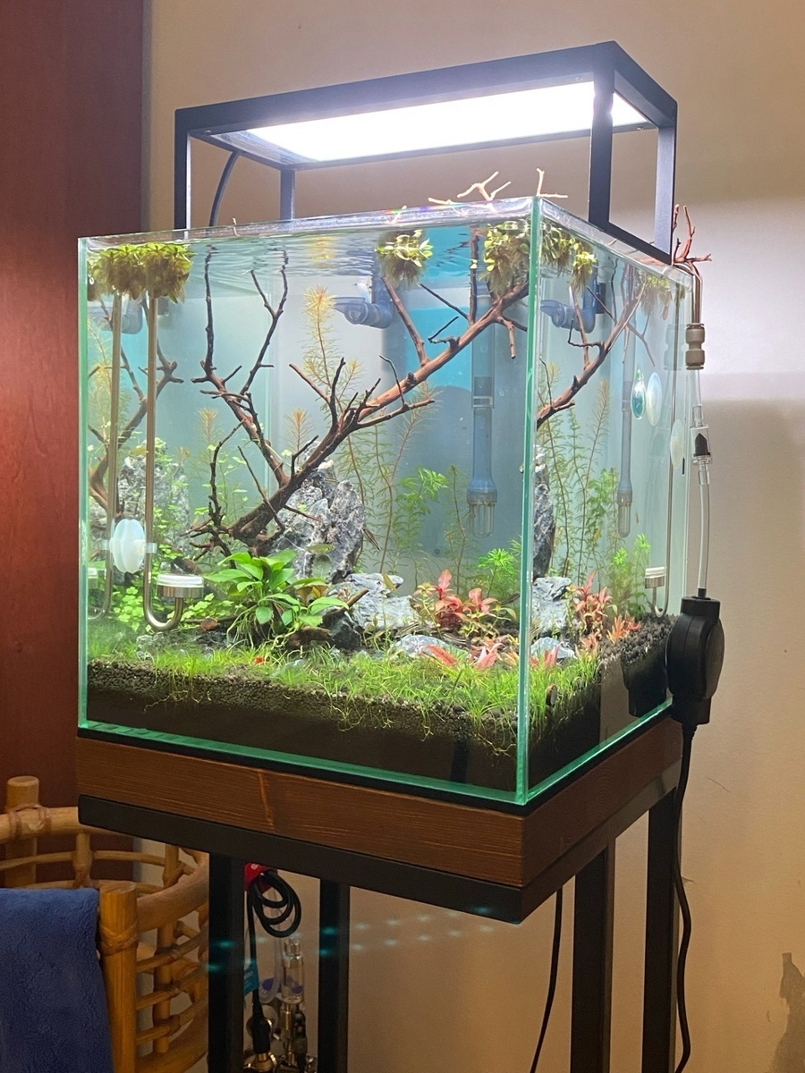 Фото: Юлия Гречишкина, г. Пенза