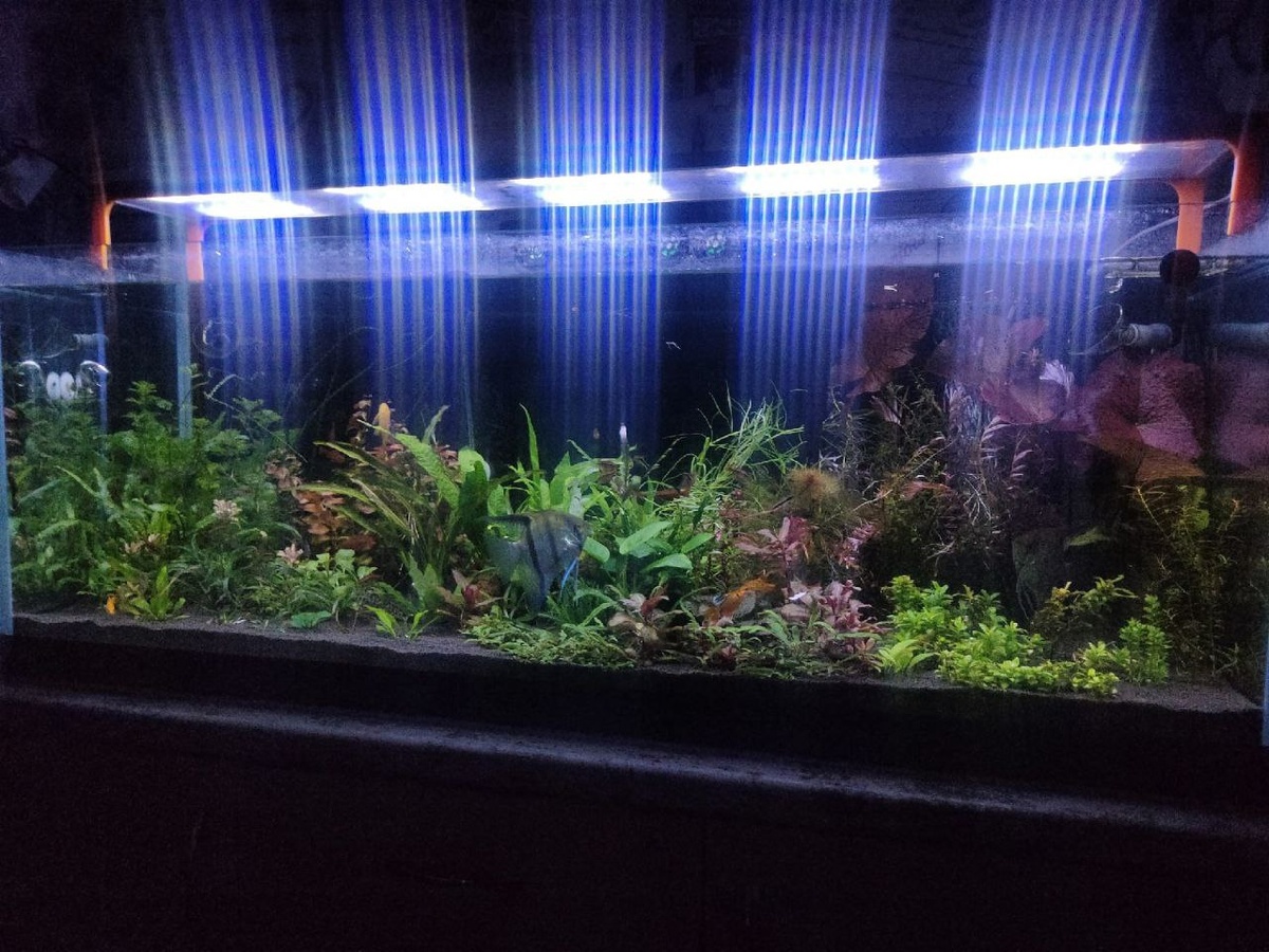 Фото: Александр Романов, г. Белгород