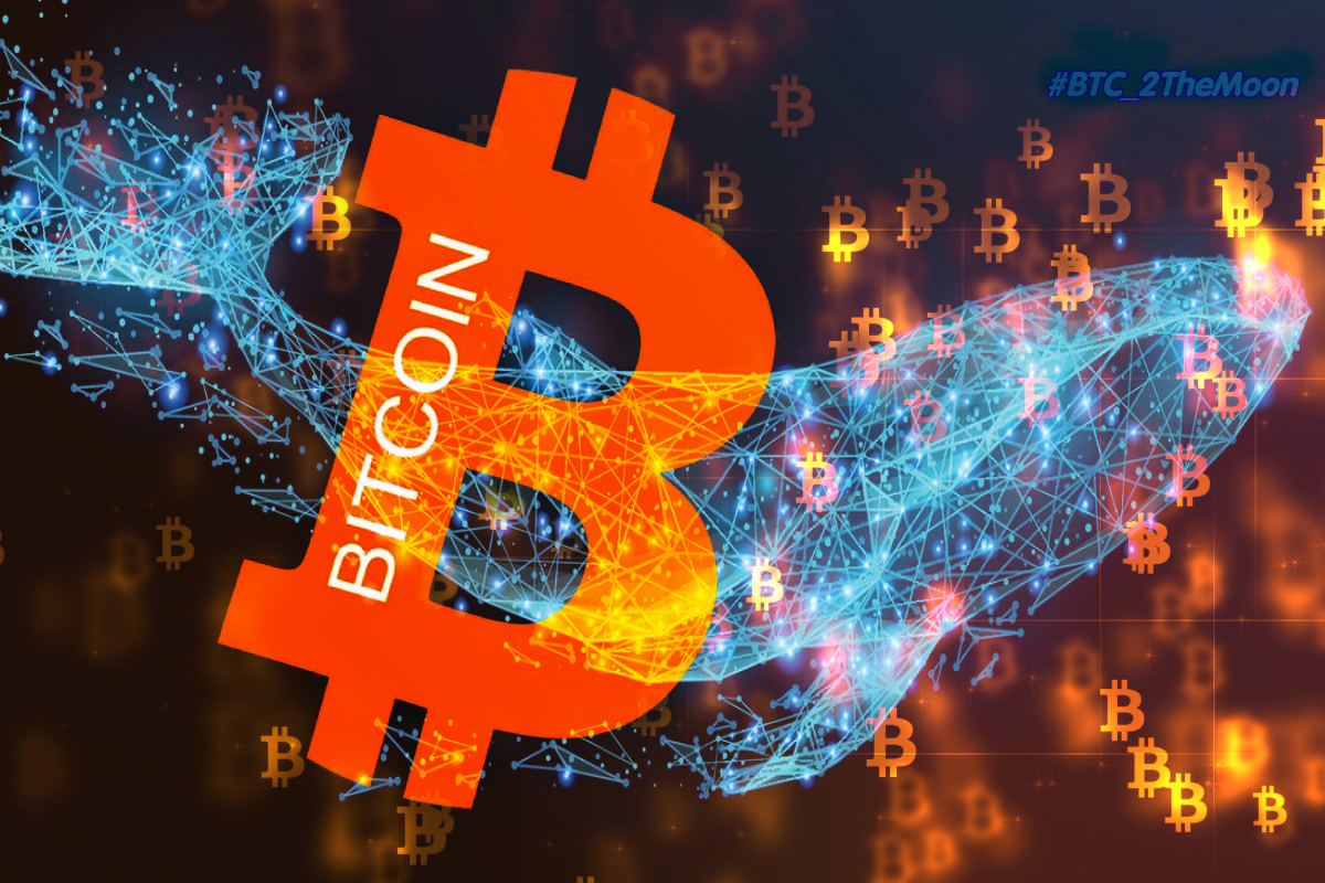 Киты Биткоина | #BTC_2TheMoon