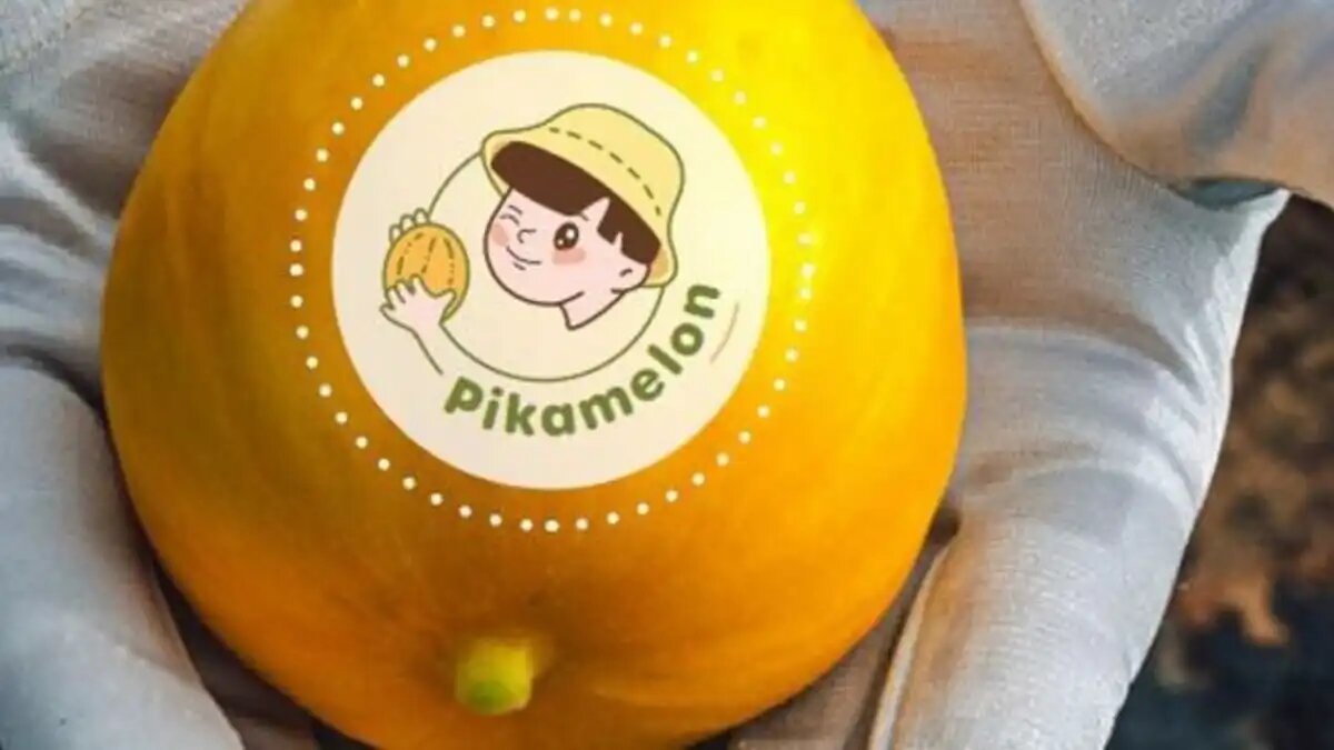  Фото:Fresh Plaza
Израильские селекционеры вывели сорта небольших дынь со съедобной кожурой
