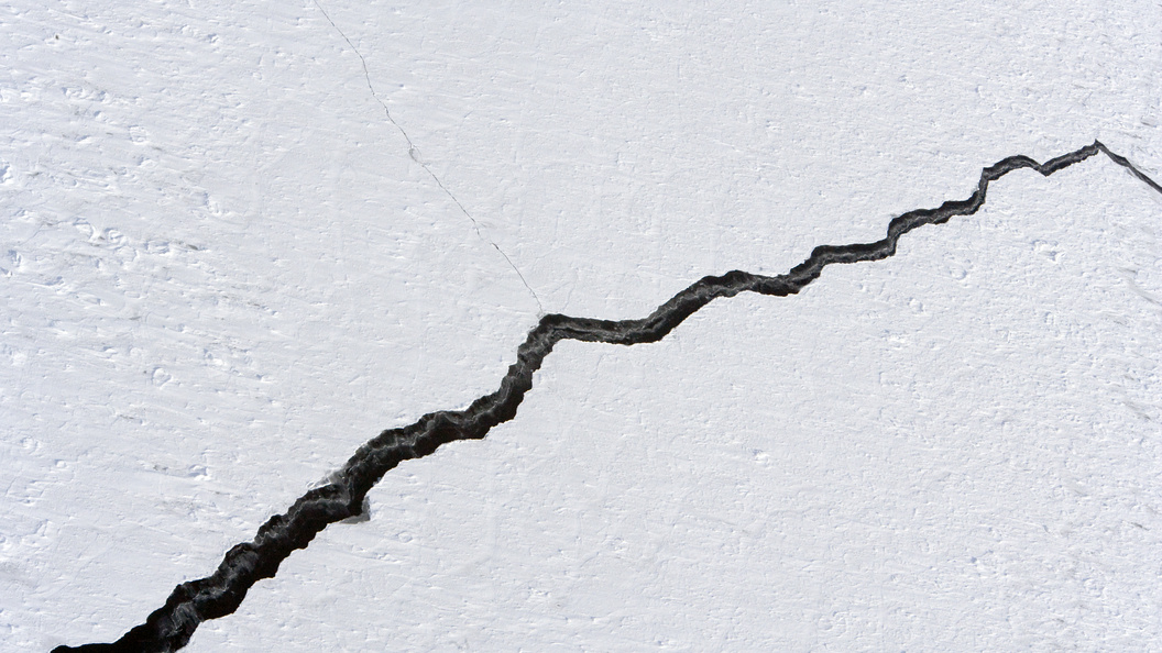    фото: Serguei Fomine/Russian Look